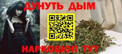 сатива Лесосибирск