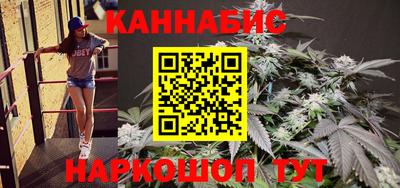 сатива Лесосибирск