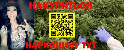 сатива Лесосибирск