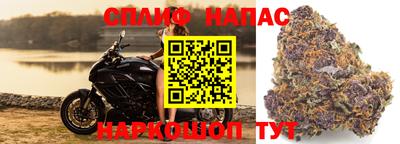 сатива Лесосибирск
