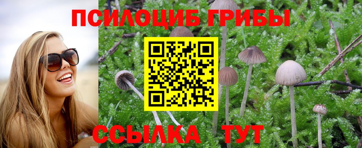Псилоцибиновые грибы MAGIC MUSHROOMS Ижевск
